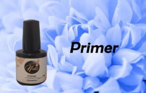Primer
